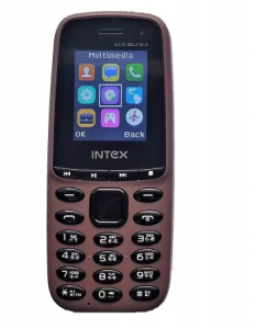 intex eco selfie 2